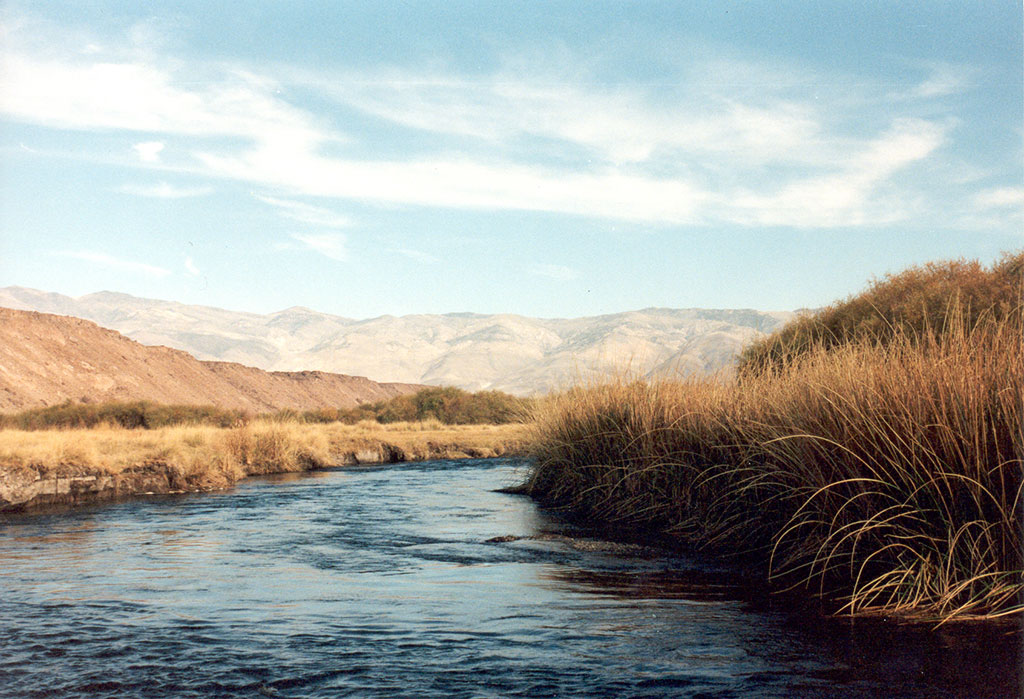 Bishop River